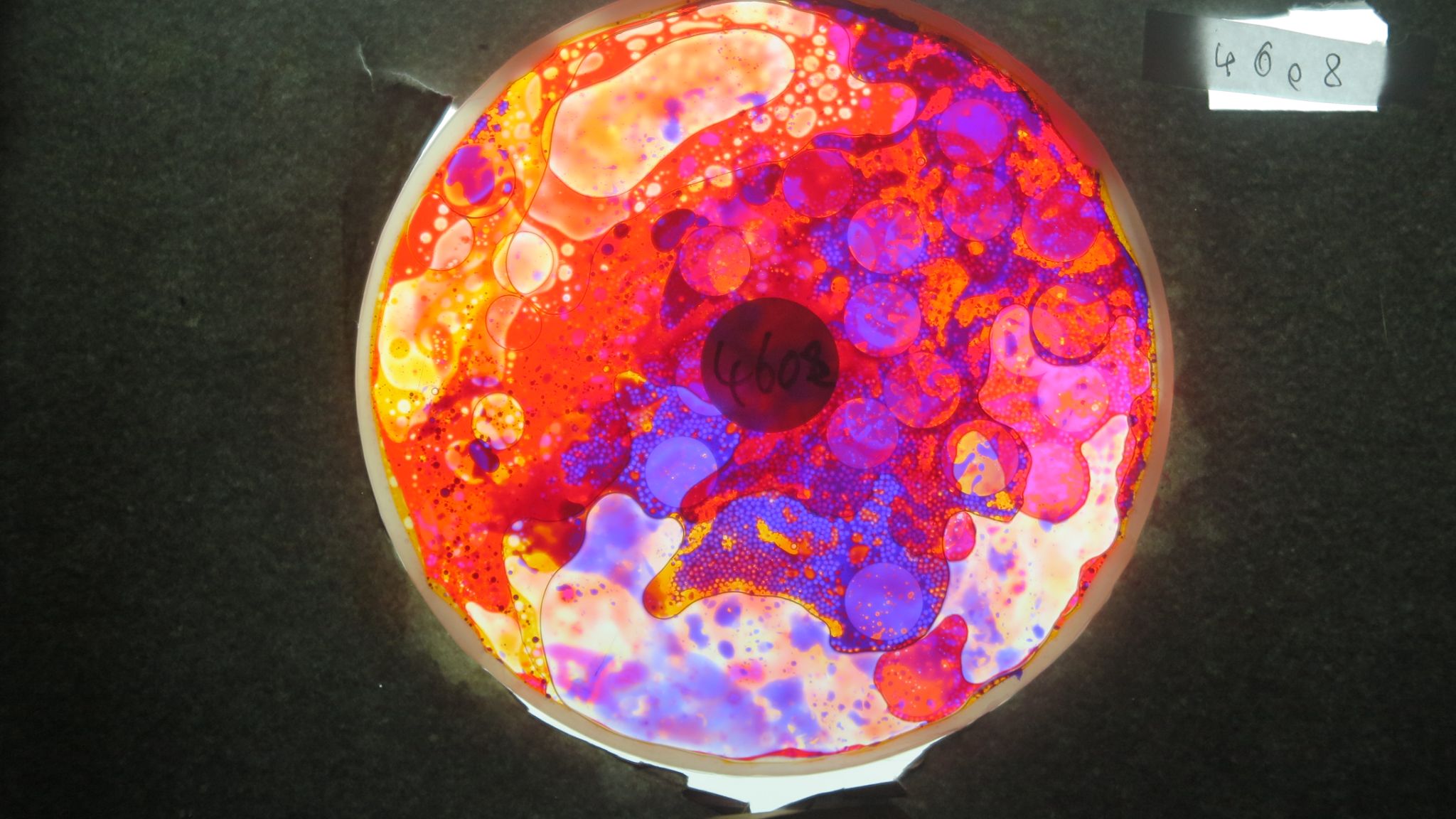 BV4608 bubble vision oil wheel